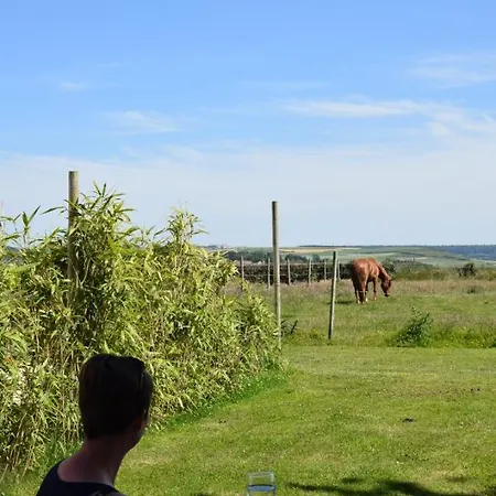 Le Clos De L'angley Et Ecurie Holiday home