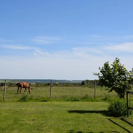 펜션 Le Clos De L'angley Et Ecurie