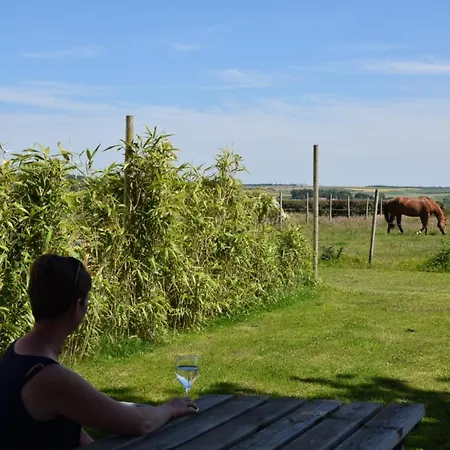 Le Clos De L'angley Et Ecurie Caffiers