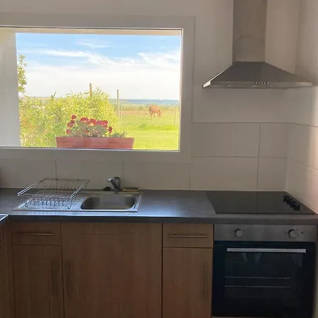 펜션 Le Clos De L'angley Et Ecurie Caffiers