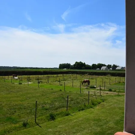 Le Clos De L'angley Et Ecurie Holiday home *
