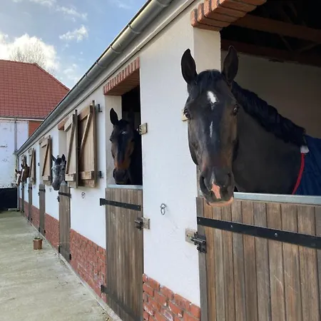 펜션 Le Clos De L'angley Et Ecurie *