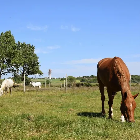펜션 Le Clos De L'angley Et Ecurie *