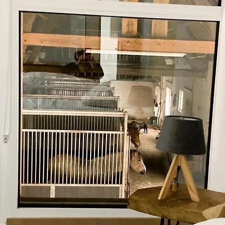 Le Clos De L'angley Et Ecurie 펜션 Caffiers