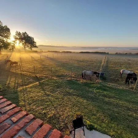 Le Clos De L'angley Et Ecurie *